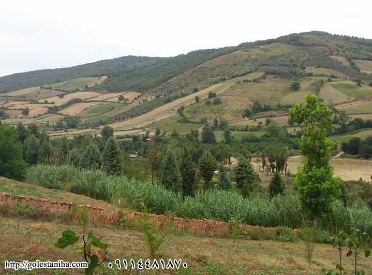 جاهای دیدنی گرگان