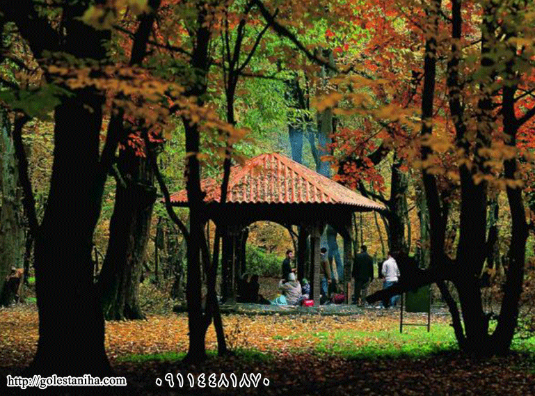 ۴۰ نقطه دیدنی گلستان که حتما باید دید