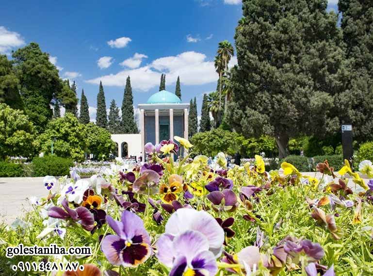 شیراز در فصل بهار