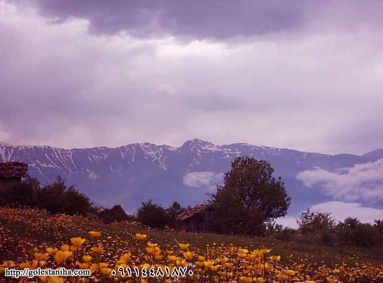 سفر به روستای مازیچال در مازندران
