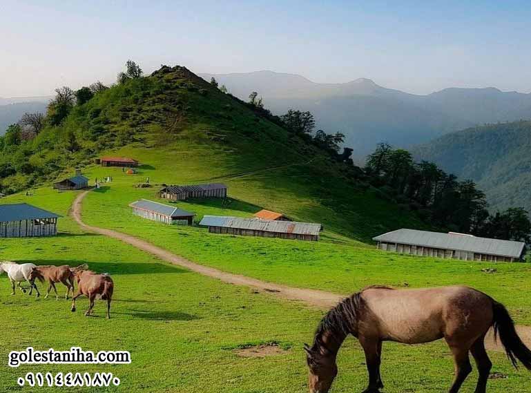  اسب سواری در روستای اولسبلنگاه